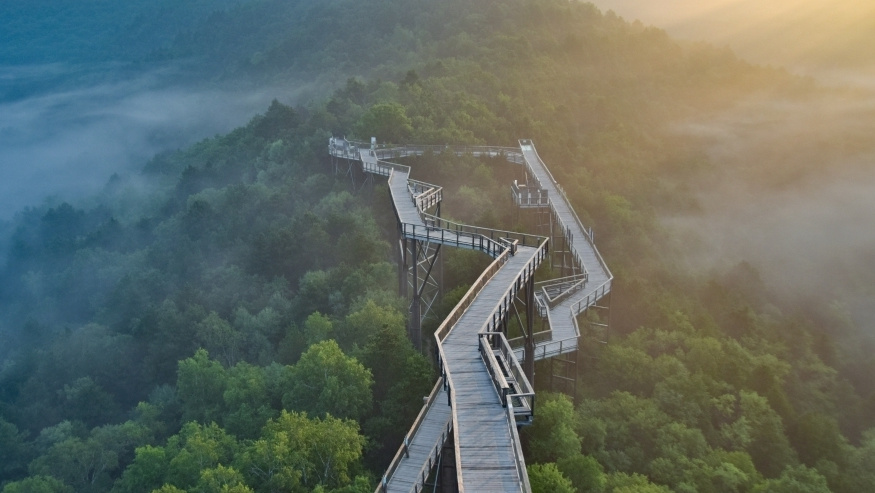 相关图片