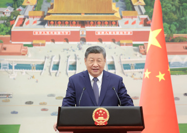 相关图片